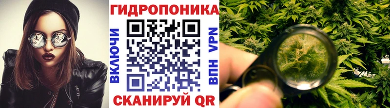 где найти   hydra ONION  Бошки марихуана THC 21%  Анива 
